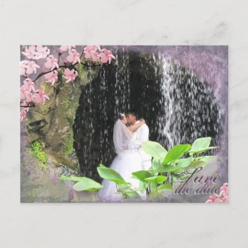 Save The Date Wedding Postcard Cherry Blossom by OLPamPam at Zazzle