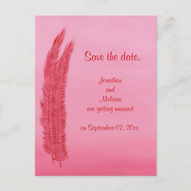 Save the date wedding postcards, Red Pink Feathers Announcement Postcard (Front)