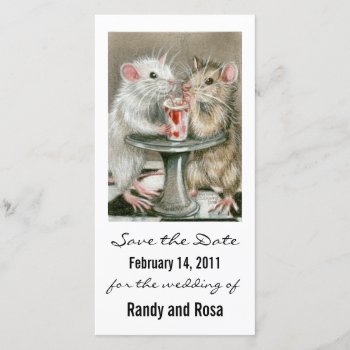 Save The Date Wedding Rat Photo Card by KMCoriginals at Zazzle