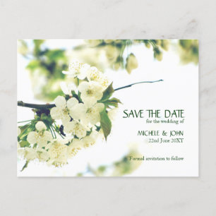 Save The Date White Cherry Blossom Postcard