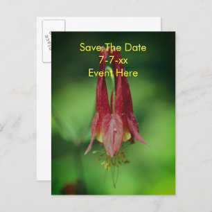 Save The Date Wild Columbine Flower  Announcement Postcard