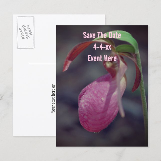 Save The Date Wild Pink Lady Slipper Flower  Announcement Postcard (Front/Back)