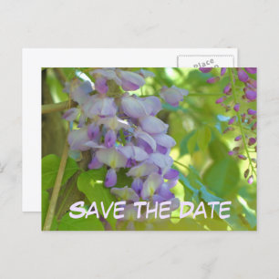 Save The Date Wisteria Flower Announcement Postcard