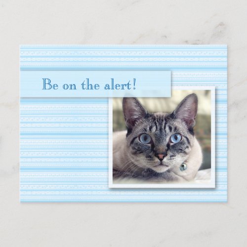 Save the Date with a Wide_eyed Cat Announcement Postcard