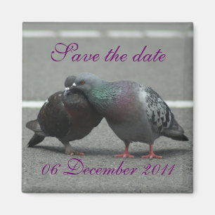 save the date with pigeons magnet