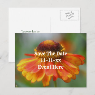 Save The Date Zinnia Flower Personalized Announcement Postcard