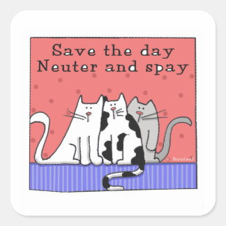 Save the Day, Neuter and Spay Square Sticker