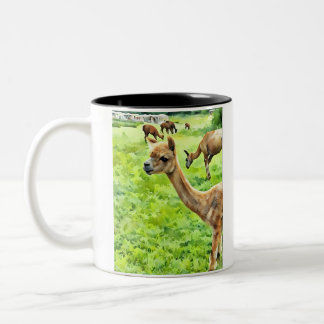 Save the Drama For Your Llama Mug 