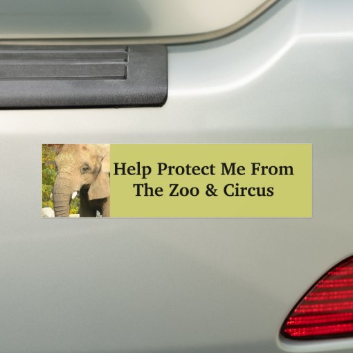Save The Elephants Bumper Sticker Zazzle