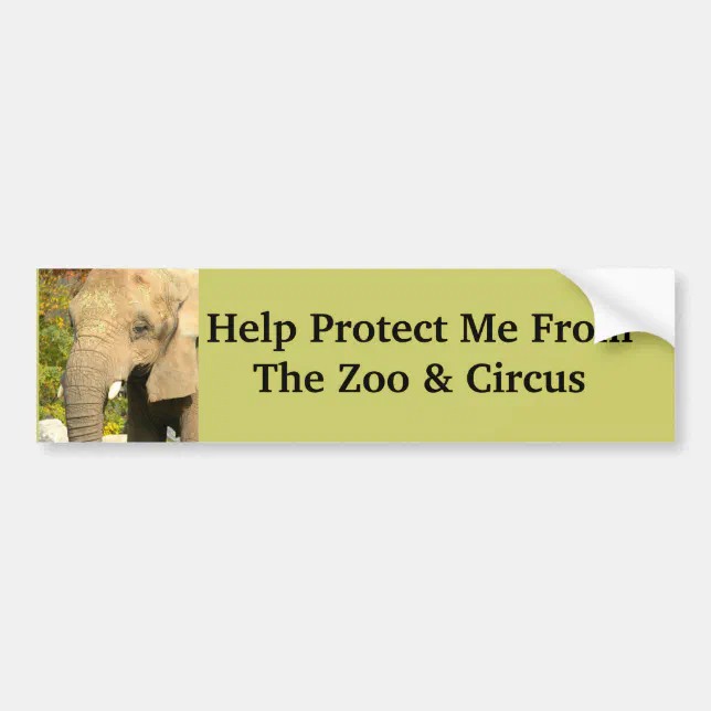 Save The Elephants Bumper Sticker Zazzle