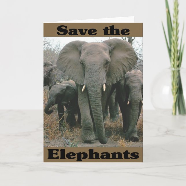 Save the Elephants Card (Front)