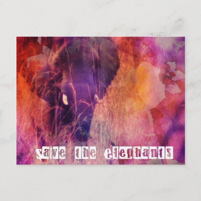 Save the Elephants Colorful Grunge Digital Art Postcard (Front)
