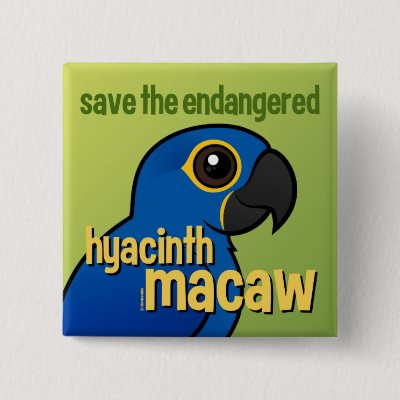 Save the Endangered Hyacinth Macaw Button
