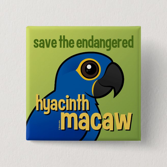 Show support for Hyacinth Macaw conservation in New Birds, Parrots and ...