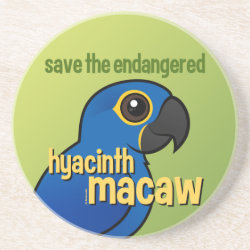 Save the Endangered Hyacinth Macaw Sandstone Drink Coaster