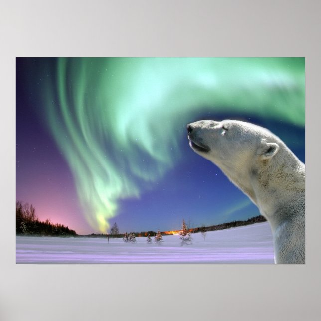 Save the Endangered Polar Bears Poster (Front)