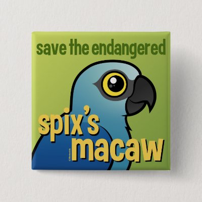 Save the Endangered Spix&#39;s Macaw Pinback Button