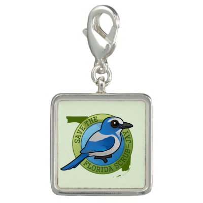 Save the Florida Scrub-Jay Charm