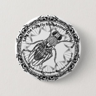 Save the fruit fly! pinback button