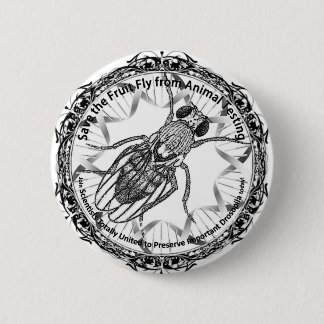 Save the fruit fly! pinback button