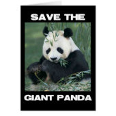 Save the Giant Panda (Front)