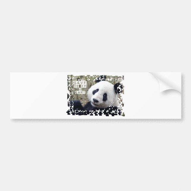 Save The Giant Panda Bumper Sticker (Front)