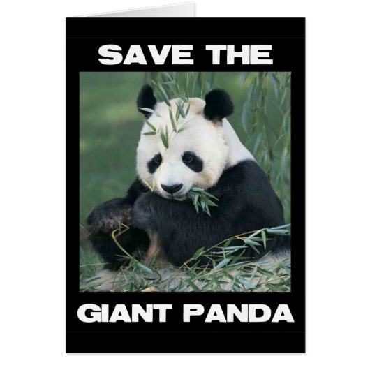 Save the Giant Panda Cards (Front)