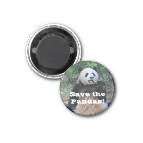 Save the Giant Pandas Magnet