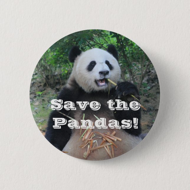 Save the Giant Pandas Pinback Button (Front)