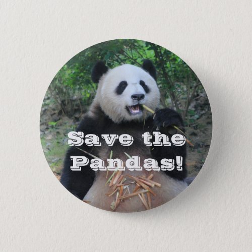 Save the Giant Pandas Pinback Button