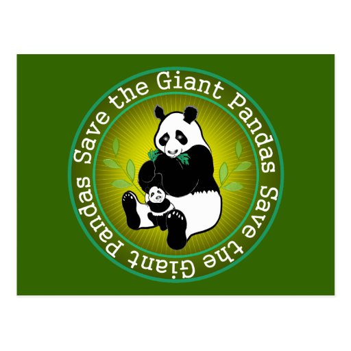Save The Giant Pandas Postcard Zazzle Save The Giant Pandas Postcard Zazzle