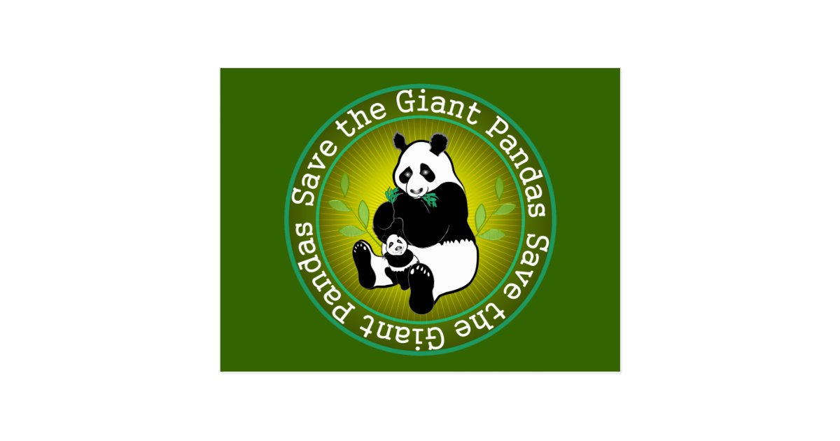 Save The Giant Pandas Postcard Zazzle Save The Giant Pandas Postcard Zazzle