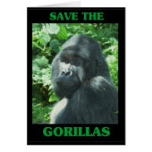 Save the Gorillas (Front)