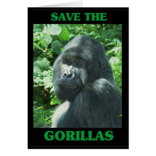 Save the Gorillas Cards (Front)