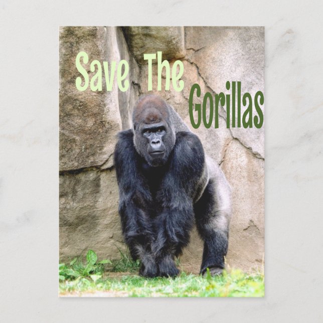Save The Gorillas Postcard (Front)