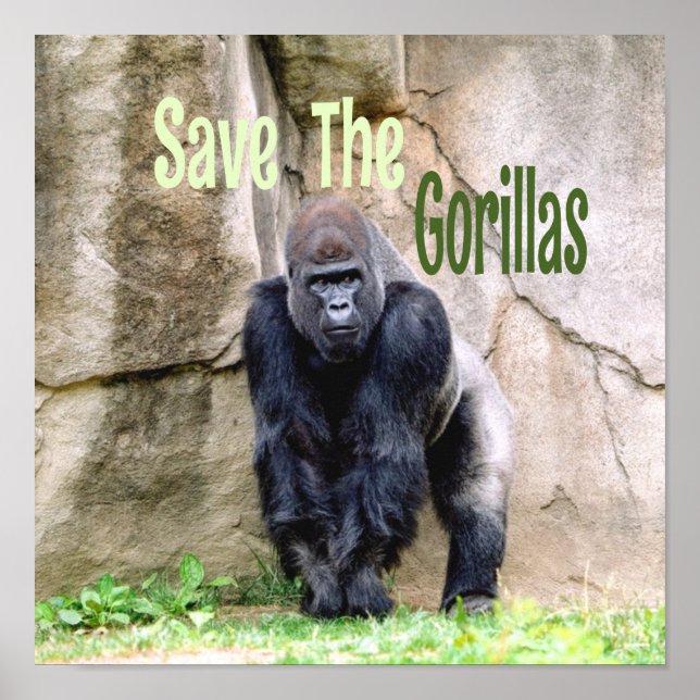Save The Gorillas Poster (Front)