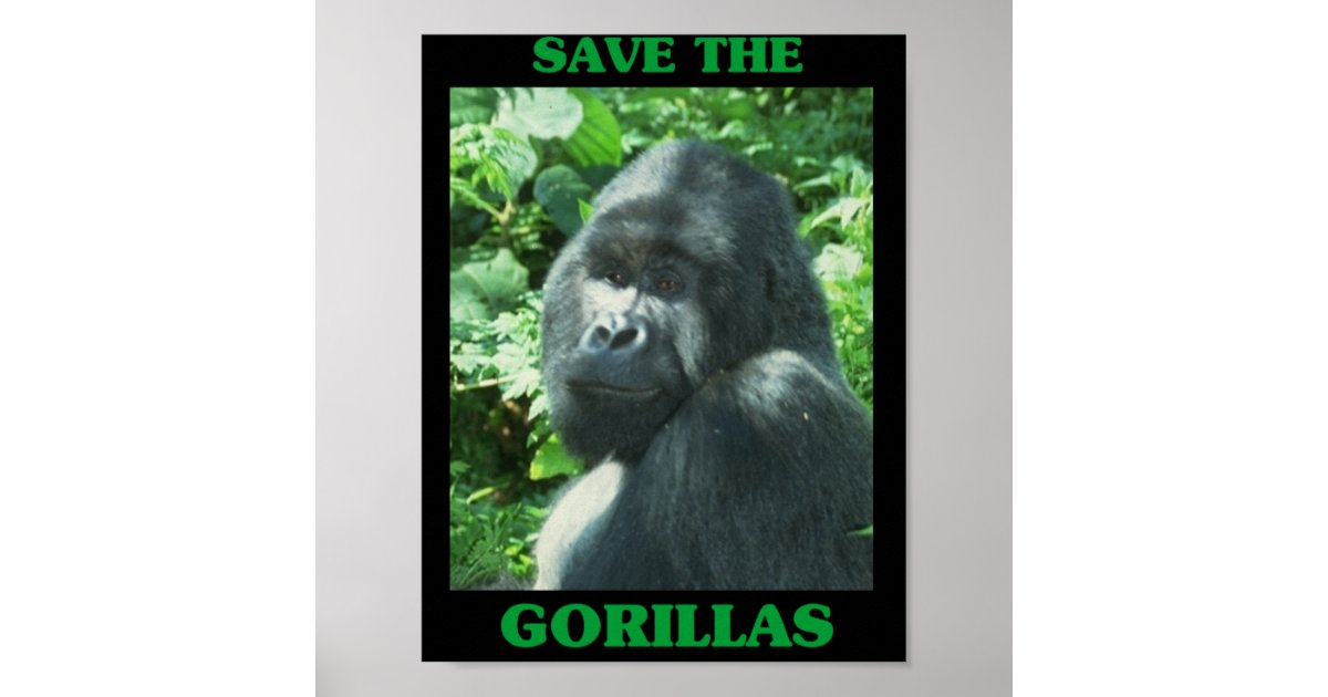 https://rlv.zcache.com/save_the_gorillas_poster-raf130f226eb34c90abf7107deac6d51a_wvf_8byvr_630.jpg?view_padding=%5B285%2C0%2C285%2C0%5D