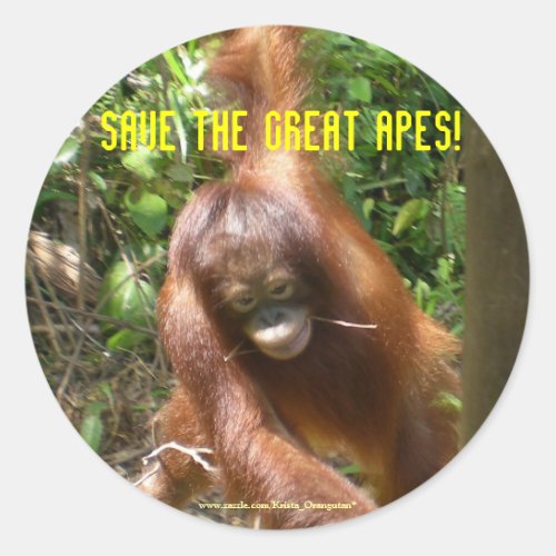 Save the Great Apes Classic Round Sticker