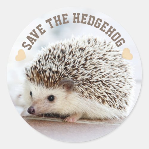 Save The Hedgehog Classic Round Sticker
