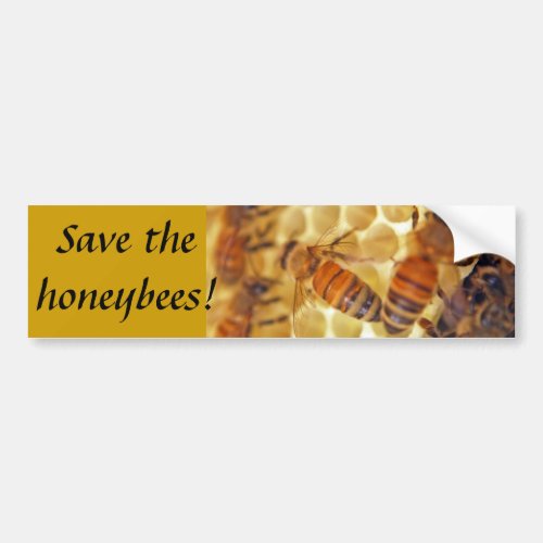 Save the honeybees bumper sticker