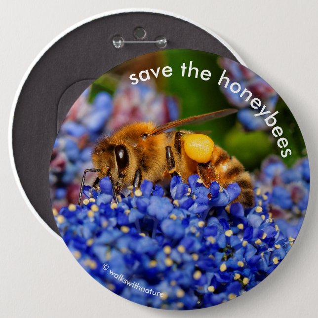 Save the Honeybees Pollinating California Lilac Button (Front & Back)
