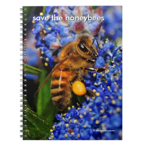 Save the Honeybees Pollinating California Lilac Notebook