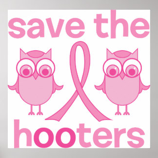 Save The Hooters Poster