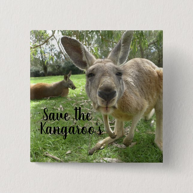 Save the Kangaroo's Button (Front)