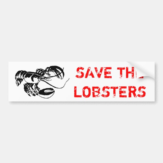 SAVE THE LOBSTERS BUMPER STICKER (Front)