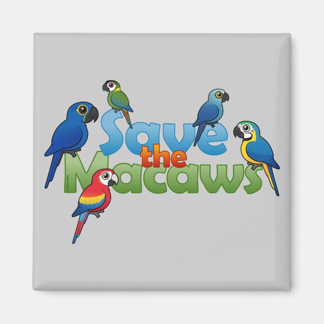 Save the Macaws Magnet (Front)