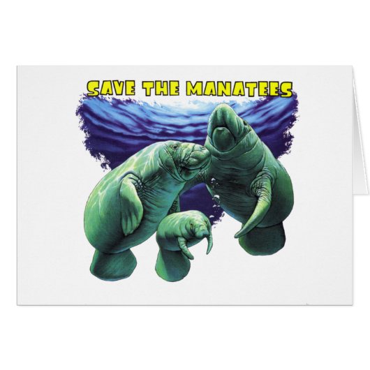 Save the Manatees Cards (Front Horizontal)