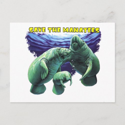 Save the Manatees Postcard