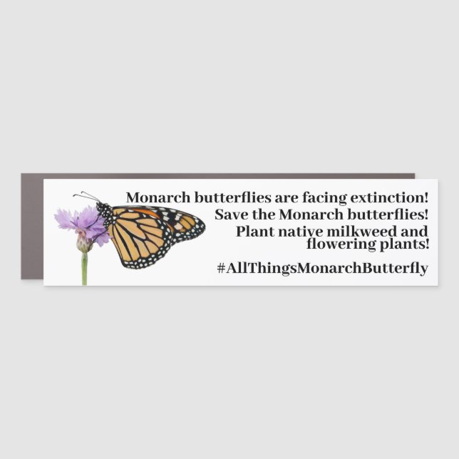 Save the Monarch butterfly Car Magnet (Front)
