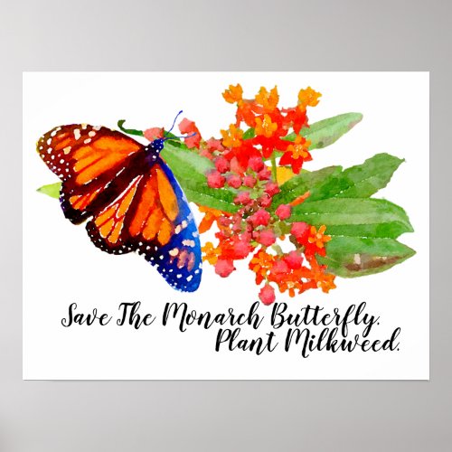 Save The Monarch Butterfly Plant Milkweed Poster